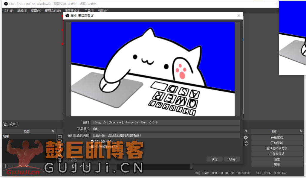 图片[4]-bongocat怎么透明？桌面宠物键盘猫obs直播设置透明教程